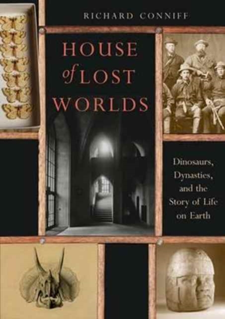 House of Lost Worlds : Dinosaurs, Dynasties, and the Story of Life on Earth, Paperback / softback Book