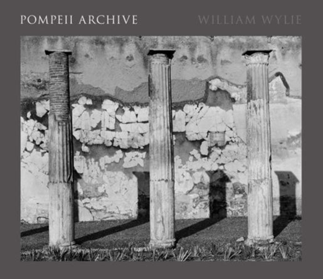 Pompeii Archive,  Book