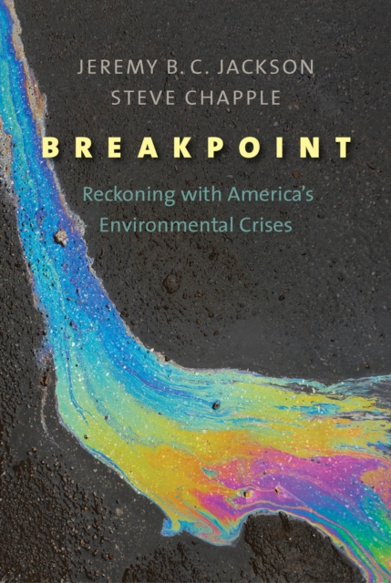 Breakpoint : Reckoning with America&#39;s Environmental Crises, EPUB eBook