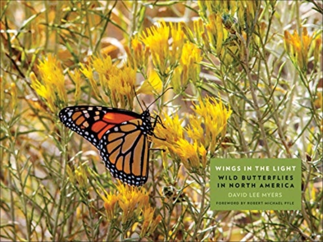 Wings in the Light : Wild Butterflies in North America, Hardback Book