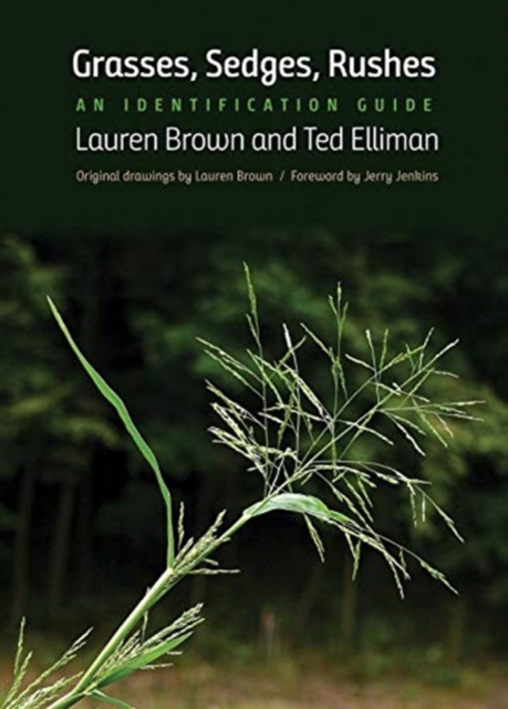 Grasses, Sedges, Rushes : An Identification Guide, Paperback / softback Book