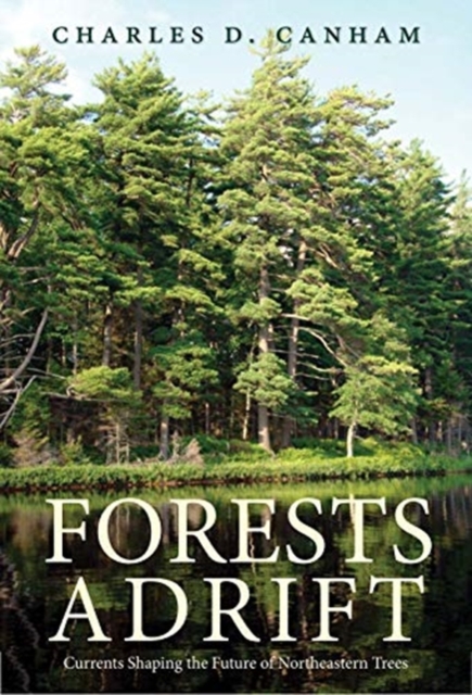 Forests Adrift : Currents Shaping the Future of Northeastern Trees, Hardback Book