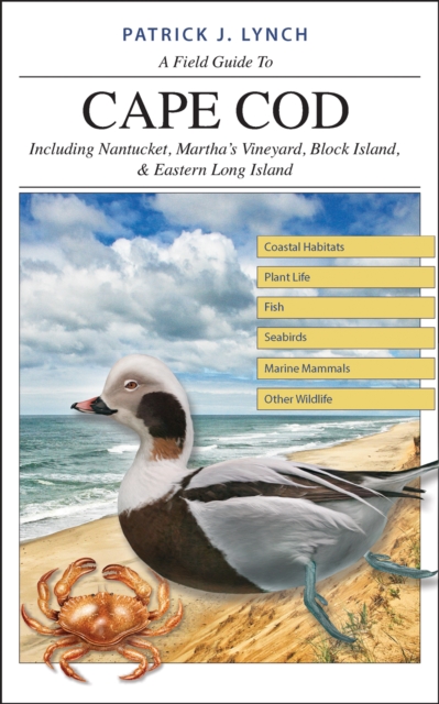 A Field Guide to Cape Cod : Including Nantucket, Martha&#39;s Vineyard, Block Island, and Eastern Long Island, PDF eBook