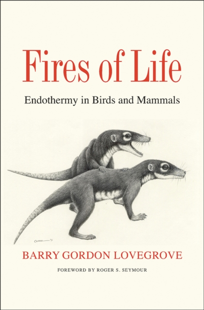 Fires of Life : Endothermy in Birds and Mammals, EPUB eBook