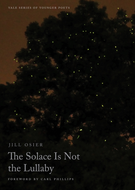 The Solace Is Not the Lullaby, PDF eBook