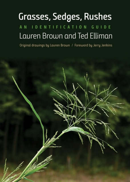 Grasses, Sedges, Rushes : An Identification Guide, PDF eBook