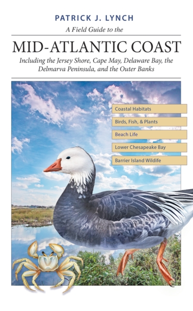 A Field Guide to the Mid-Atlantic Coast : Including the Jersey Shore, Cape May, Delaware Bay, the Delmarva Peninsula, and the Outer Banks, PDF eBook