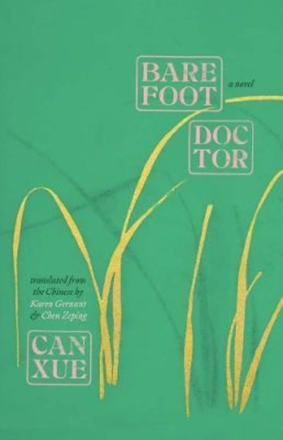 Barefoot Doctor : A Novel, Hardback Book