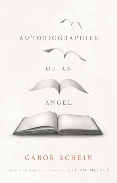 Autobiographies of an Angel : A Novel, EPUB eBook