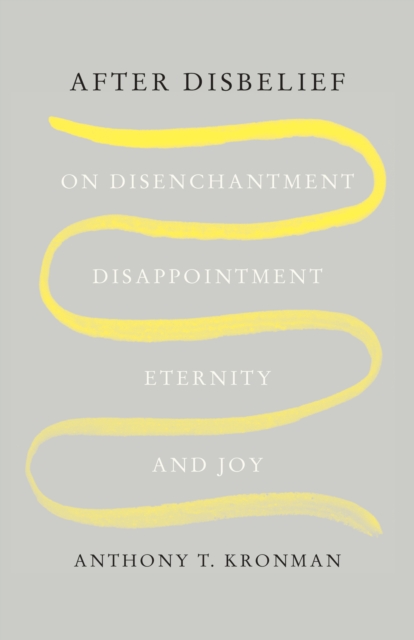 After Disbelief : On Disenchantment, Disappointment, Eternity, and Joy, EPUB eBook