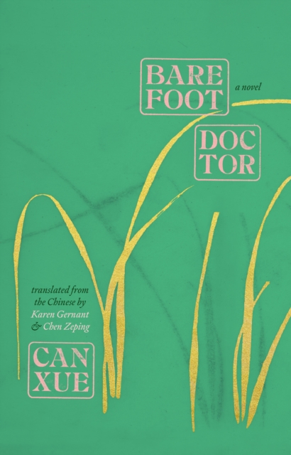 Barefoot Doctor : A Novel, EPUB eBook