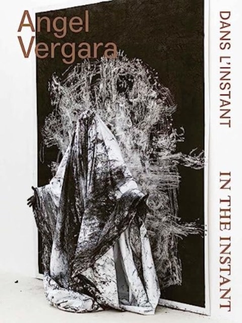 Angel Vergara : In the Instant, Hardback Book