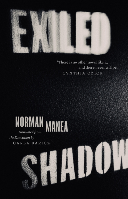 Exiled Shadow, EPUB eBook