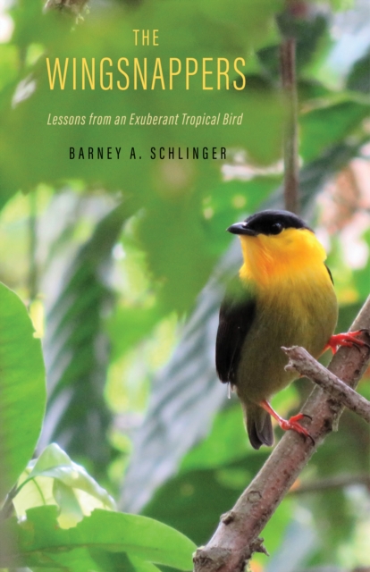 The Wingsnappers : Lessons from an Exuberant Tropical Bird, EPUB eBook