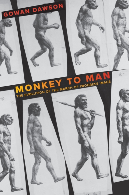 Monkey to Man : The Evolution of the March of Progress Image, EPUB eBook