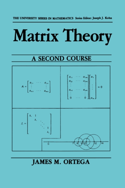 Matrix Theory: A Second Course, Paperback / softback Book