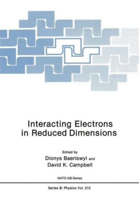 Interacting Electrons in Reduced Dimensions, Hardback Book