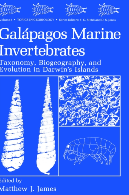 Galapagos Marine Invertebrates : Taxonomy, Biogeography, and Evolution in Darwin's Islands, Hardback Book