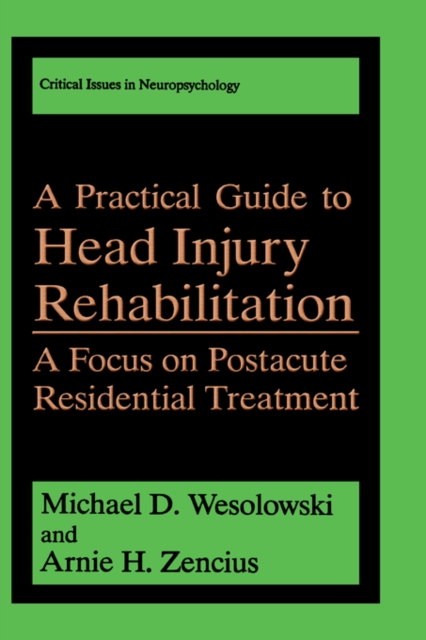 A Practical Guide to Head Injury Rehabilitation : A Focus on Postacute Residential Treatment, Hardback Book