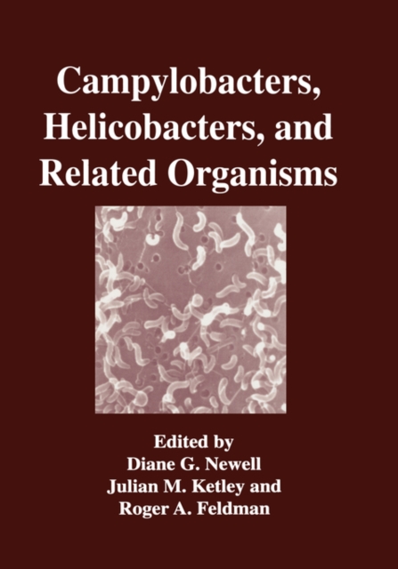 Campylobacters, Helicobacters, and Related Organisms, Hardback Book