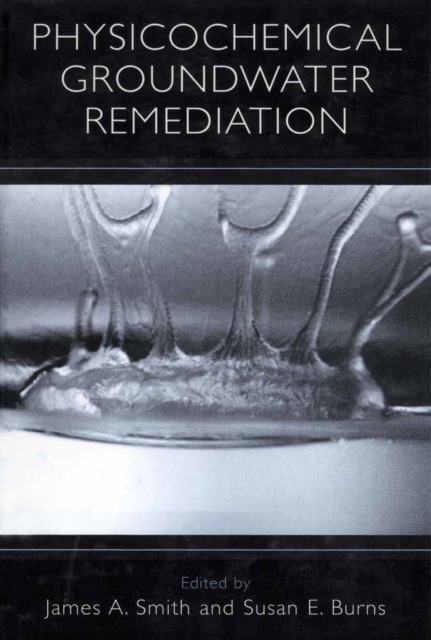 Physicochemical Groundwater Remediation, PDF eBook