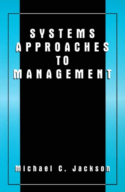 Systems Approaches to Management, PDF eBook
