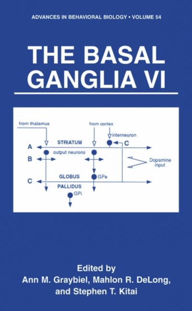 The Basal Ganglia VI, Hardback Book