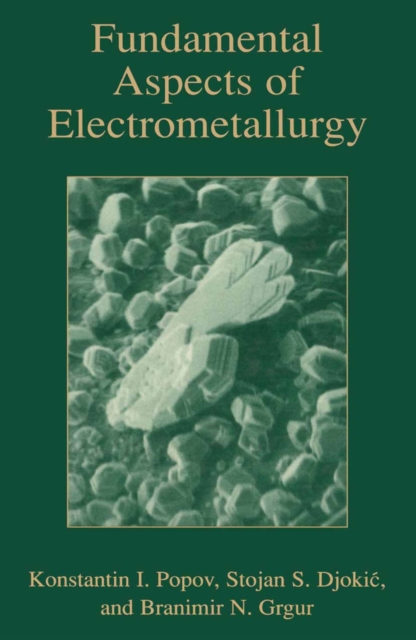 Fundamental Aspects of Electrometallurgy, PDF eBook