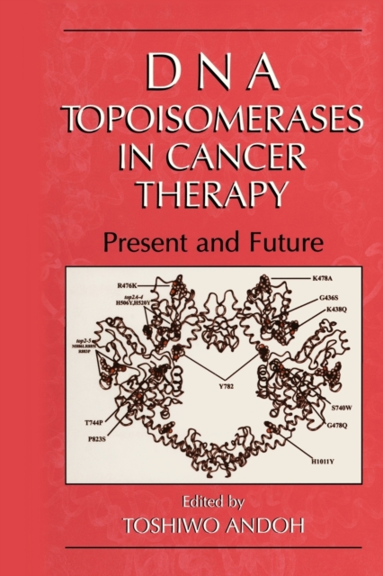 DNA Topoisomerases in Cancer Therapy : Present and Future, Hardback Book