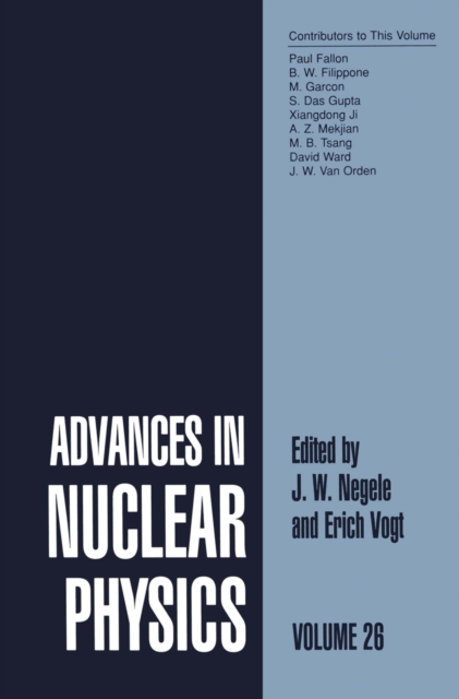 Advances in Nuclear Physics : Volume 26, PDF eBook