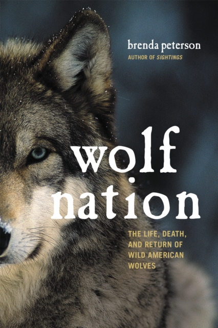 Wolf Nation : The Life, Death, and Return of Wild American Wolves, Hardback Book