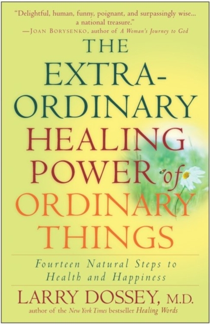Extraordinary Healing Power of Ordinary Things, EPUB eBook