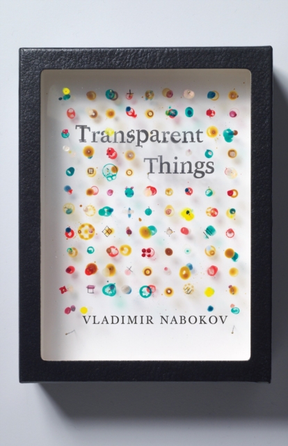 Transparent Things, EPUB eBook