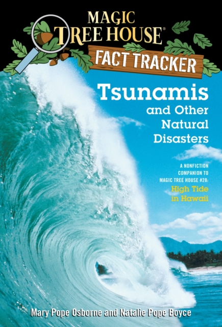 Tsunamis and Other Natural Disasters, EPUB eBook