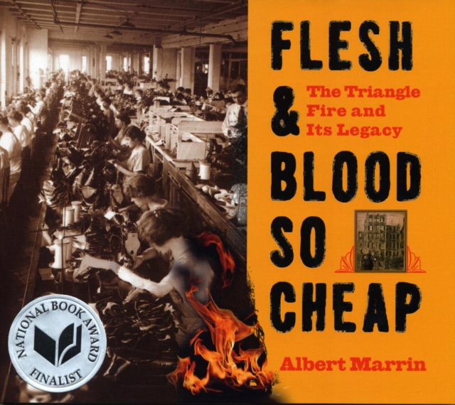 Flesh and Blood So Cheap: The Triangle Fire and Its Legacy, EPUB eBook