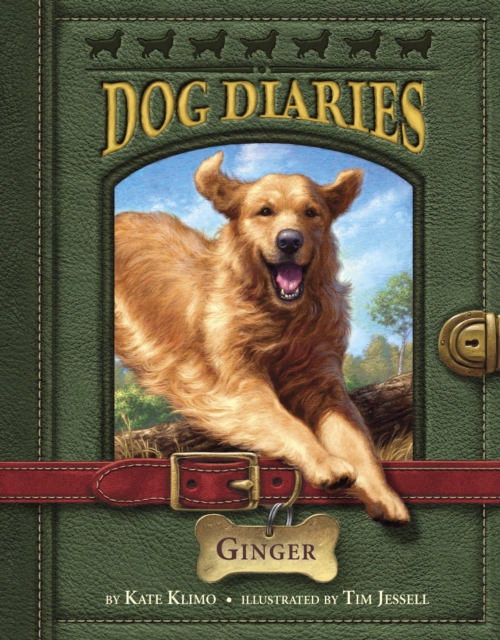 Dog Diaries #1: Ginger, Paperback / softback Book