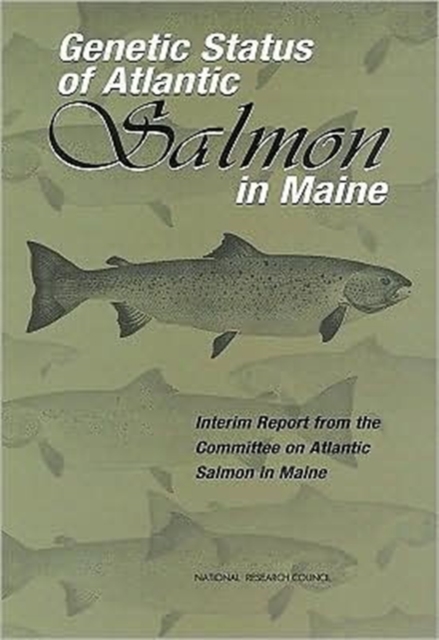 Genetic Status of Atlantic Salmon in Maine : Interim Report, Paperback Book