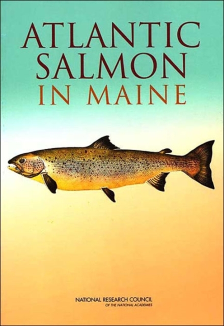 Atlantic Salmon in Maine, Paperback / softback Book