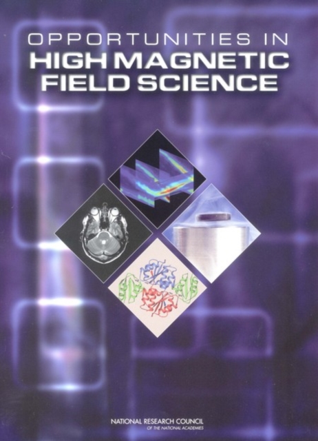 Opportunities in High Magnetic Field Science, Paperback / softback Book