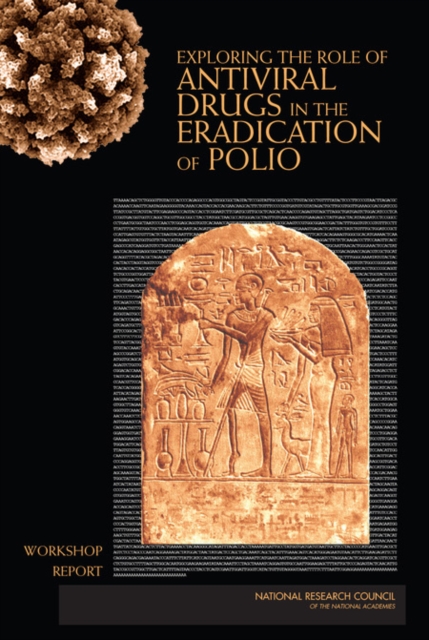 Exploring the Role of Antiviral Drugs in the Eradication of Polio : Workshop Report, Paperback / softback Book