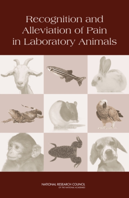 Recognition and Alleviation of Pain in Laboratory Animals, PDF eBook