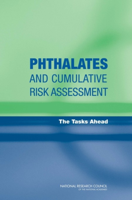 Phthalates and Cumulative Risk Assessment : The Tasks Ahead, Paperback / softback Book