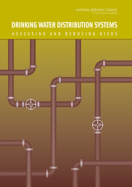 Drinking Water Distribution Systems : Assessing and Reducing Risks, EPUB eBook