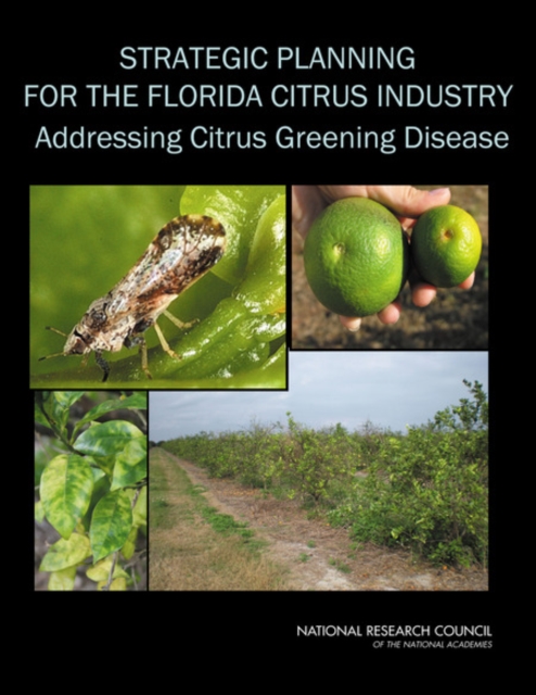 Strategic Planning for the Florida Citrus Industry : Addressing Citrus Greening Disease, PDF eBook