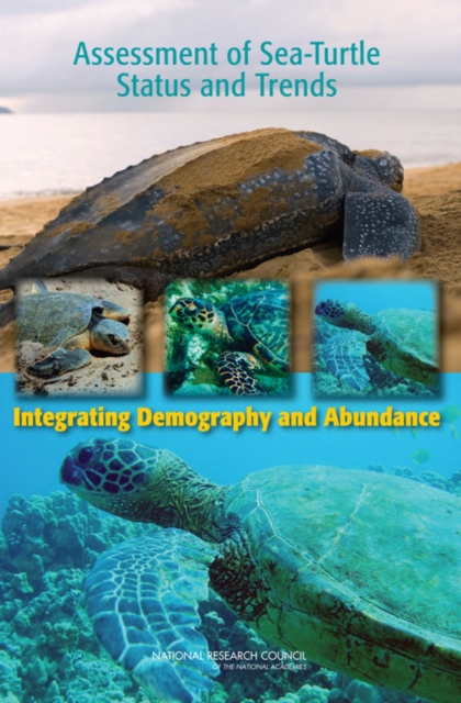 Assessment of Sea-Turtle Status and Trends : Integrating Demography and Abundance, Paperback / softback Book