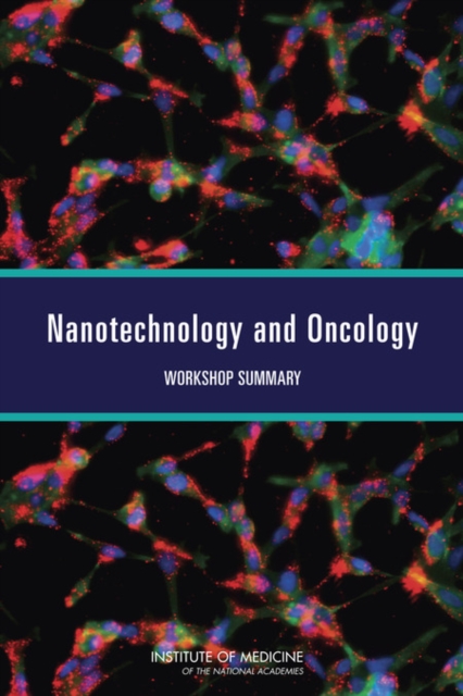 Nanotechnology and Oncology : Workshop Summary, Paperback / softback Book