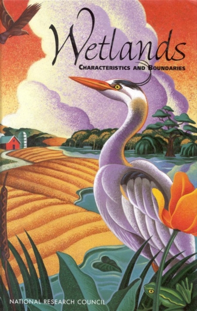 Wetlands : Characteristics and Boundaries, EPUB eBook