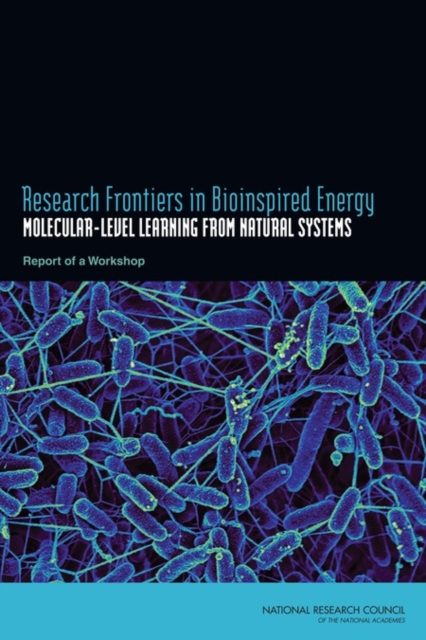 Research Frontiers in Bioinspired Energy : Molecular-Level Learning from Natural Systems: Report of a Workshop, EPUB eBook