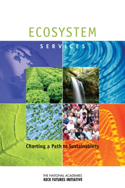 Ecosystem Services : Charting a Path to Sustainability: Interdisciplinary Research Team Summaries, PDF eBook