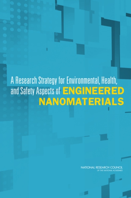 A Research Strategy for Environmental, Health, and Safety Aspects of Engineered Nanomaterials, Paperback / softback Book